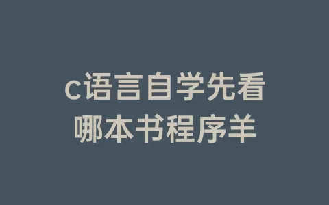 c语言自学先看哪本书程序羊