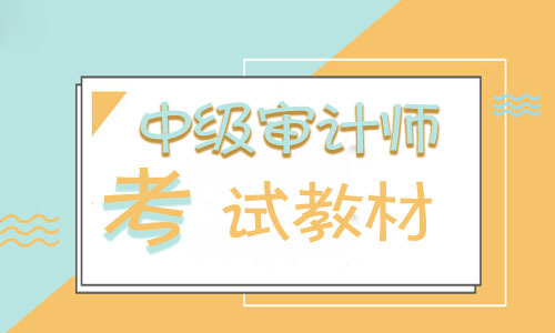2023中级审计师专业相关知识历年真题及答案百度网盘下载